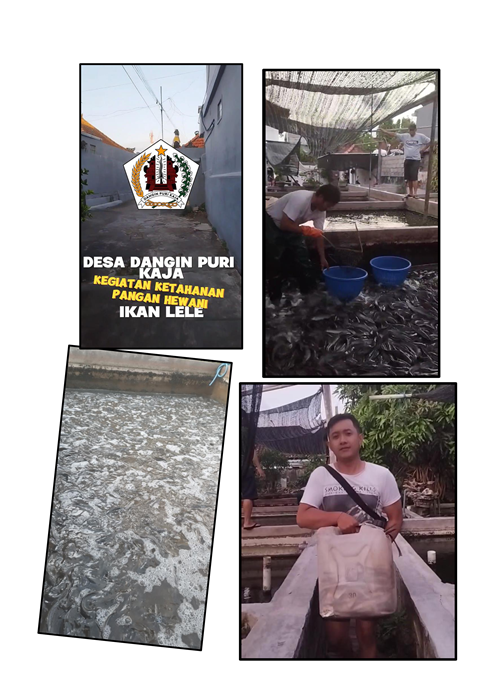 Kegiatan Ketahanan Pangan Desa Dangin Puri Kaja